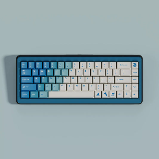 Walker Big Pool PBT keycap set overview